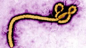 Centre issues Ebola advisory, asks Bihar to remain alert