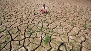 Jharkhand stares at drought with 40% rainfall deficit