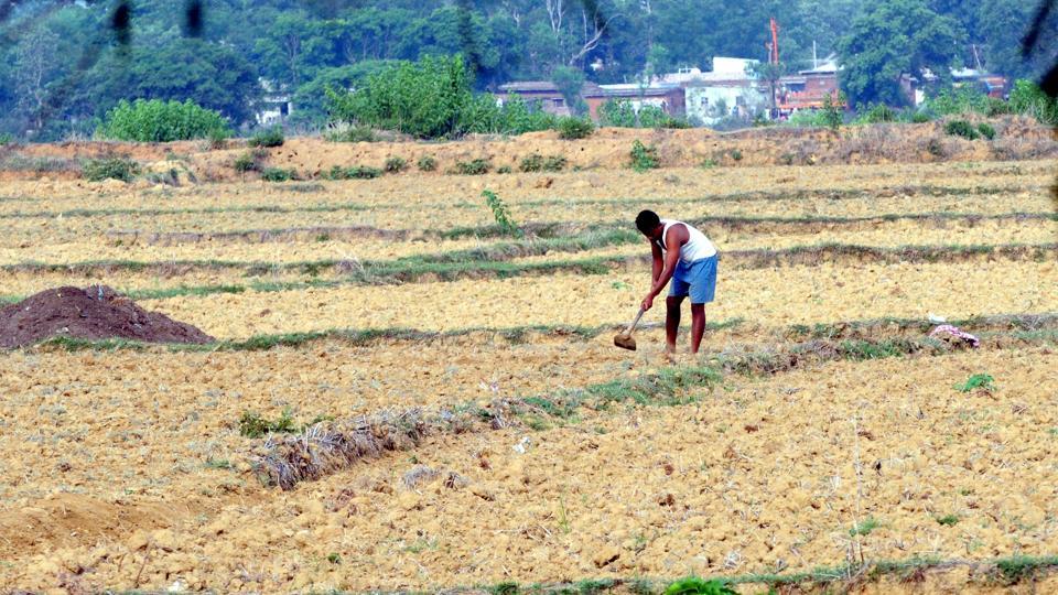 Monsoon weakens over Jharkhand, rain deficit at 60% so far