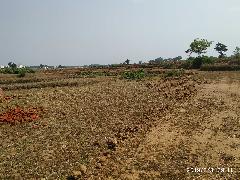 Jharkhand’s Land Bank: Injustice to Adivasis Continues