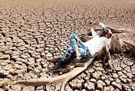 Farmers in Bihar Fear Another Drought
