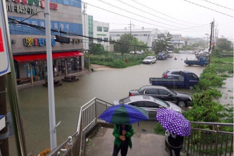 Things we know happened in Busan aftermath of Typhoon Danas