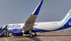 Delhi-bound IndiGo flight suffers bird hit in Ranchi, passengers safe