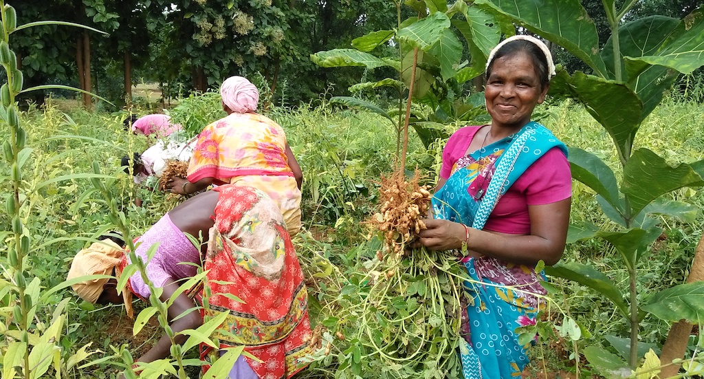 Thanks to better farm practices, Jharkhand women farmers reap more money.