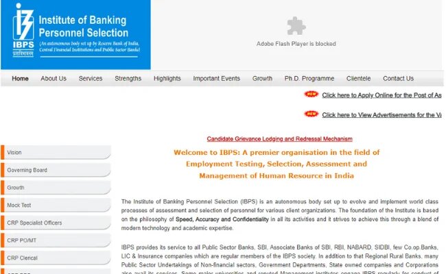 IBPS Clerk Scorecard Released at ibps.in, Check How to Download.